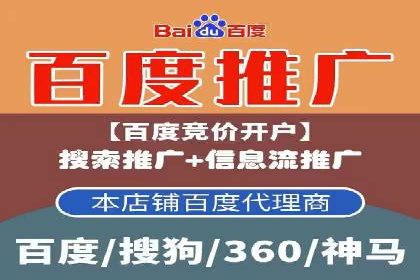 社交平台信息流广告推广的典型案例分析